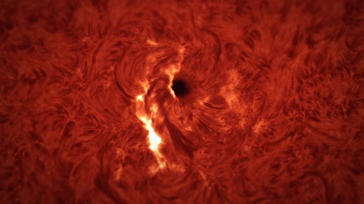 Solar Events Triggered Shocking Sounds: Scientists Monitoring - News Directory 3